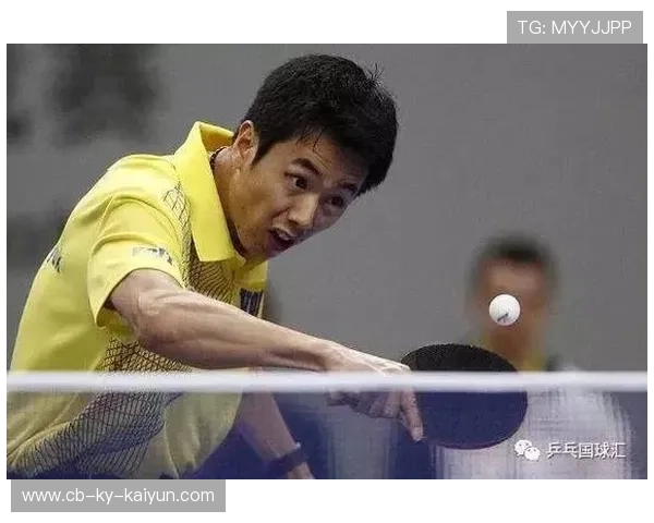 战术变革：教练如何迎接挑战？，教练挑战规则